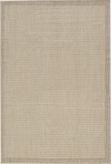 Flatweave Minimalist Woven Area Rug | Beige Beige