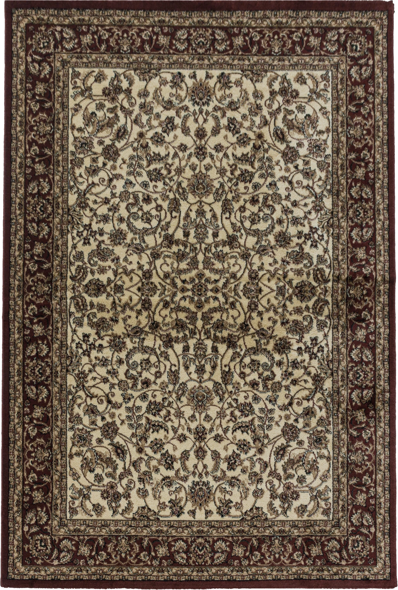 Classic Botanical Vine Bordered Area Rug | Cream