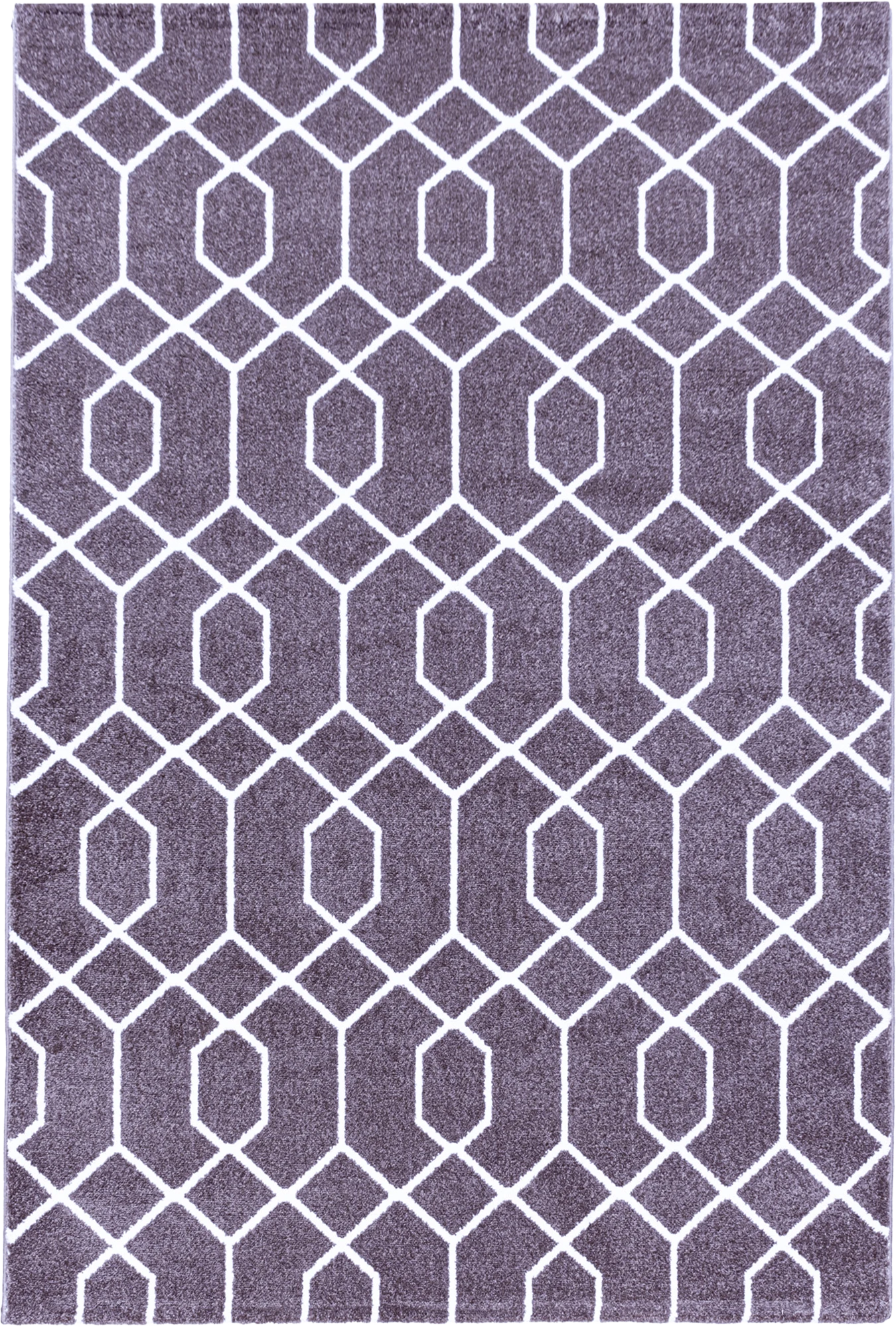 Geometric Hexagon Trellis Area Rug - Violet