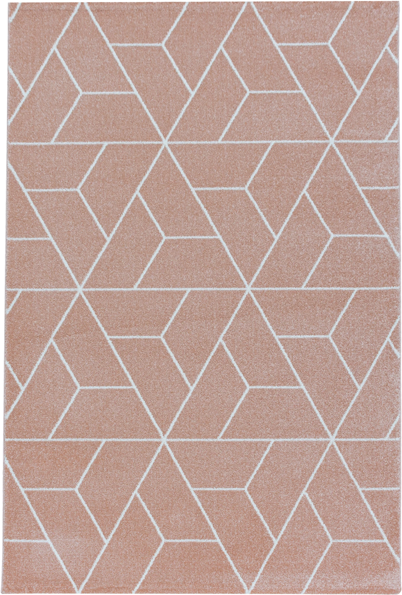 Geometric 3D Cube Line Pattern Area Rug | Rose
