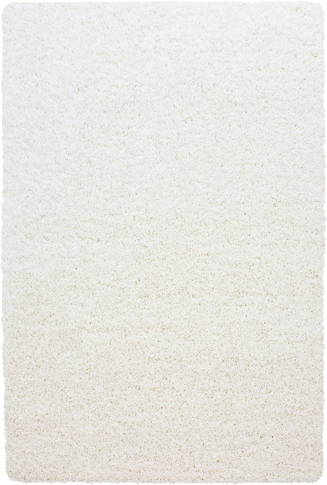 Saubere Farbe, gemütlicher, eleganter Bereich