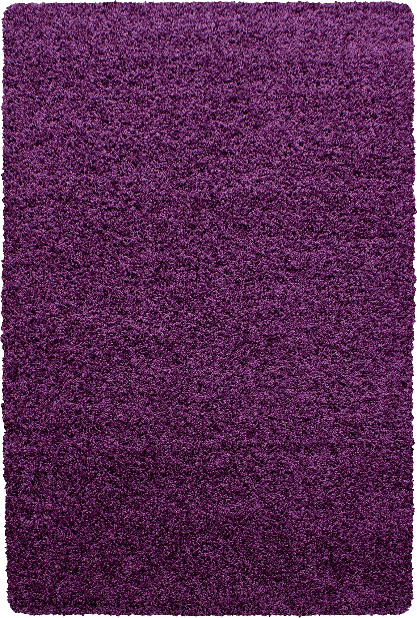 Minimalist Color Plain Cozy Shaggy | Violet