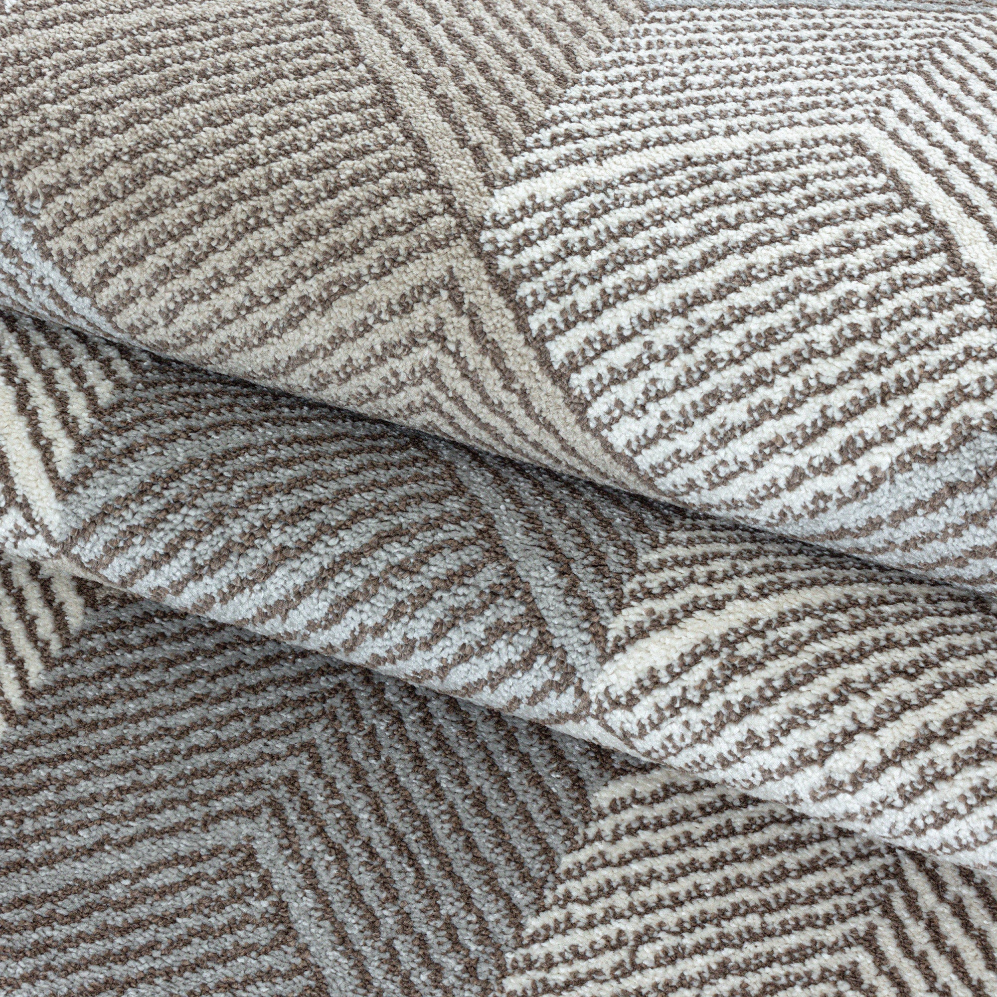 Turtle Pattern Living Room Carpet | Beige