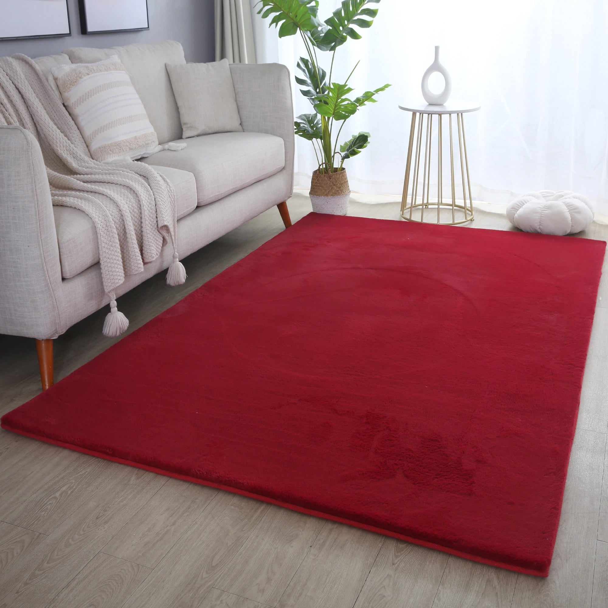Cozy & Soft Fluffy Rug | Red