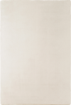 Minimalist Color Chic Elegant Decor Cream