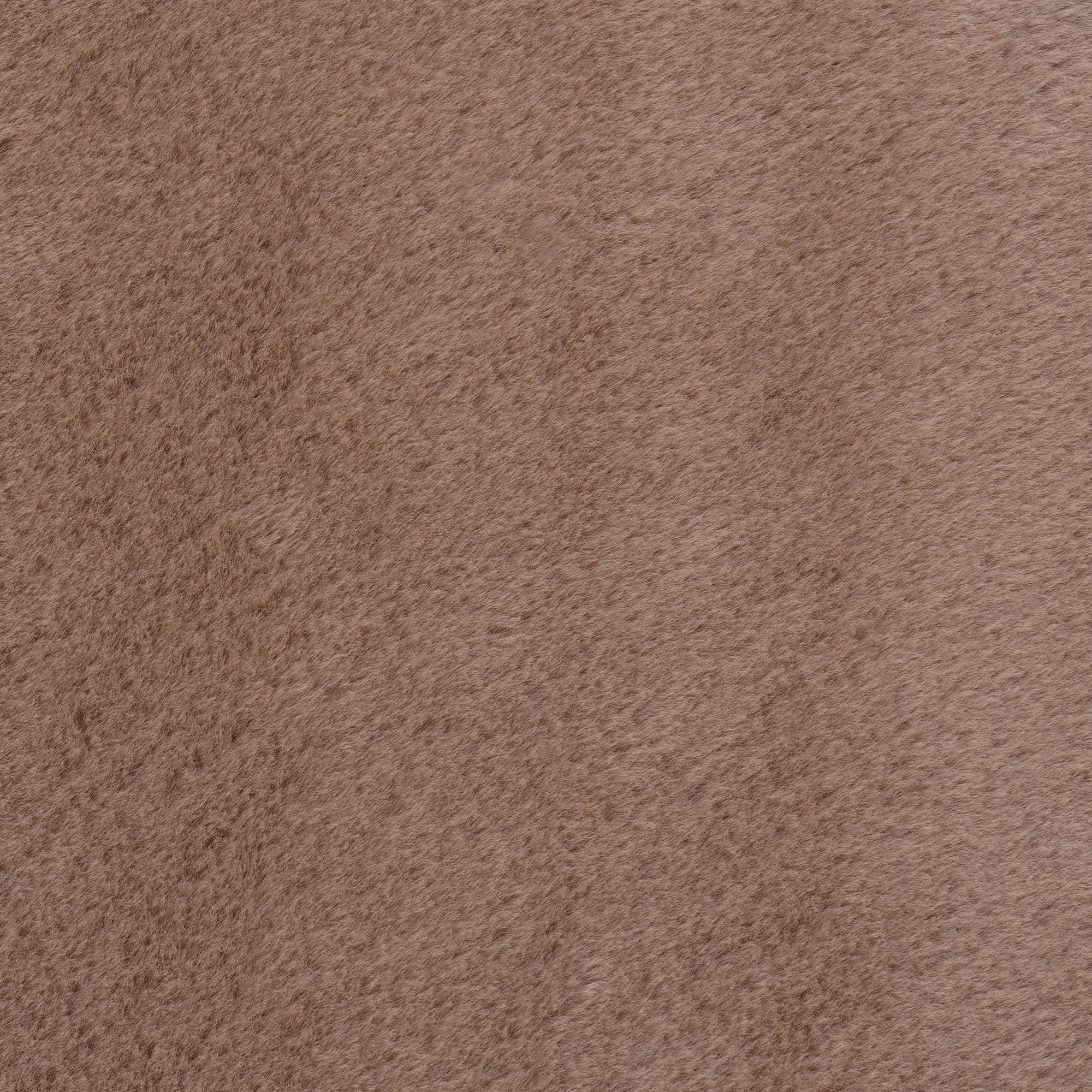 Saubere Farbe, minimalistisches, stilvolles Dekor