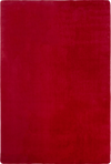 Clean Color Minimalist Modern Area Red