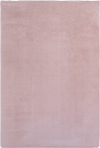 Clean Color Modern Elegant Decor Pink