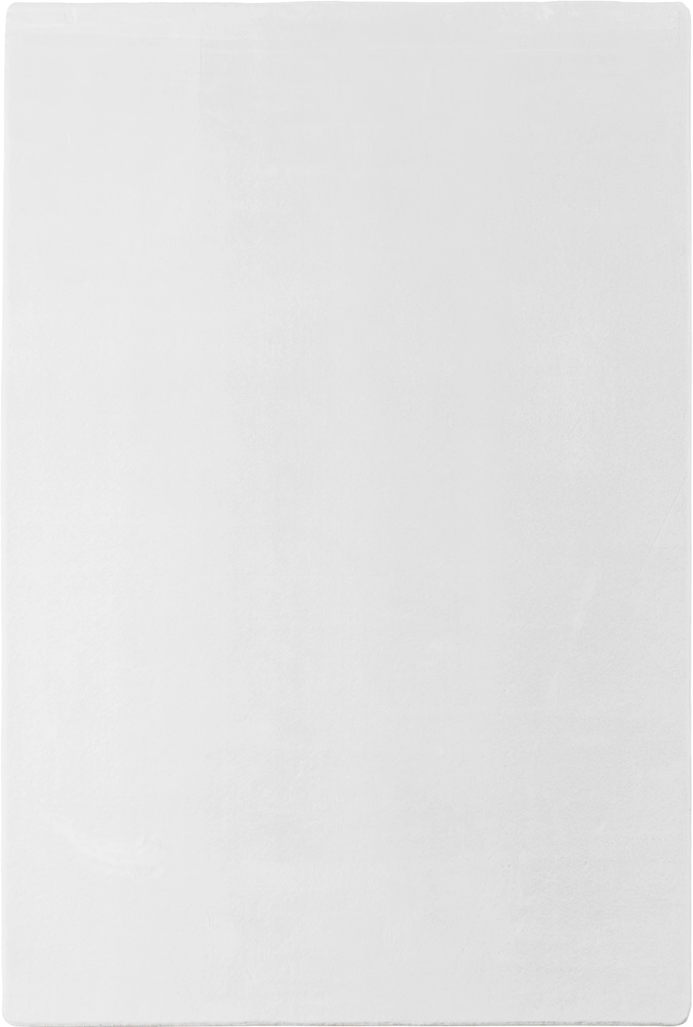 Minimalist Color Elegant Premium Rug
