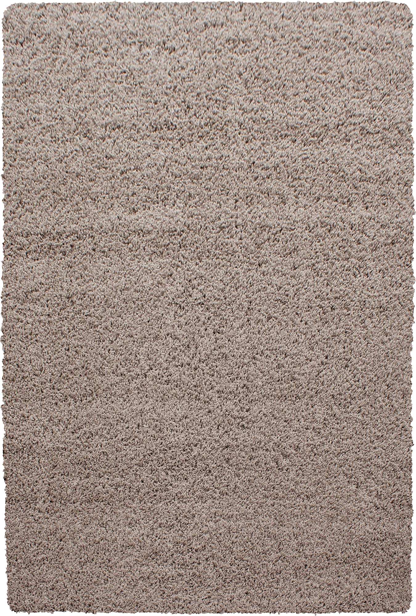 Clean Color Minimalist Neutral Rug