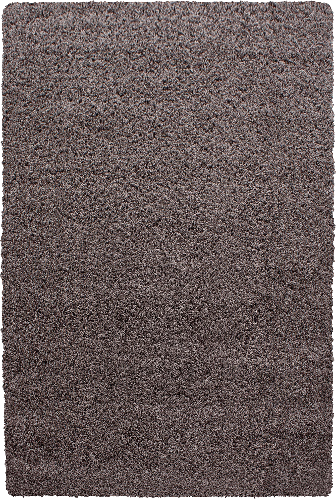 Minimalist Color Neutral Area Rug