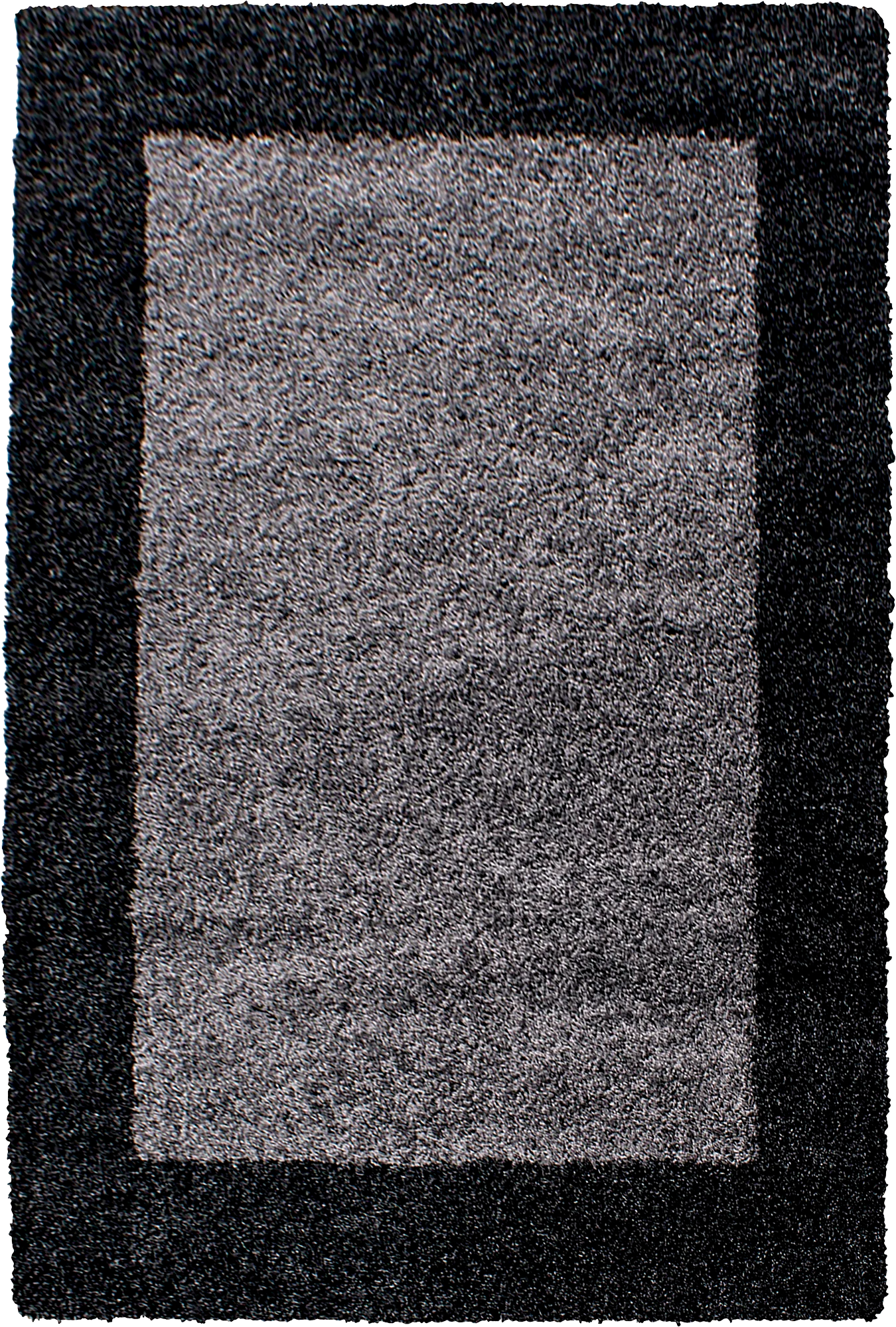 Bordered Area Rug Modern