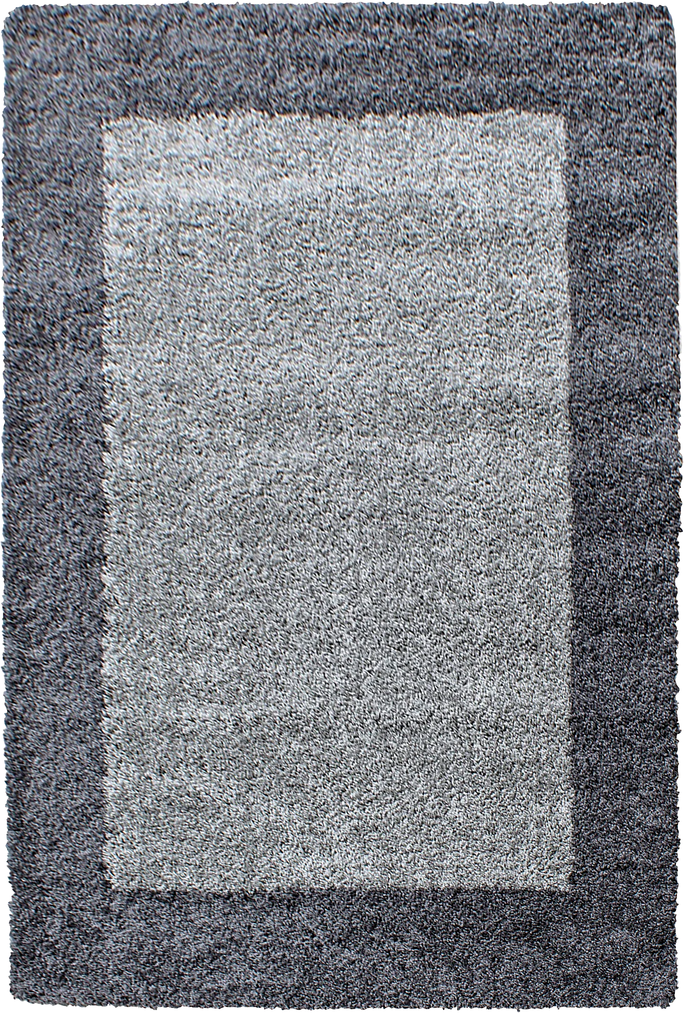 Bordered Elegant Area Rug Gray
