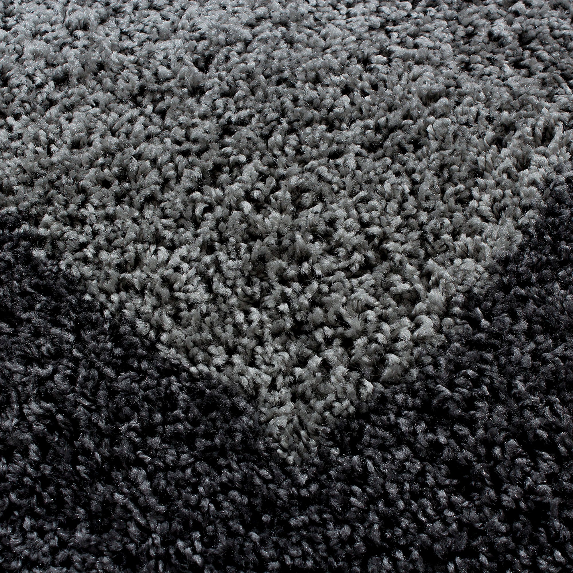 Bordered Elegant Area Rug Gray