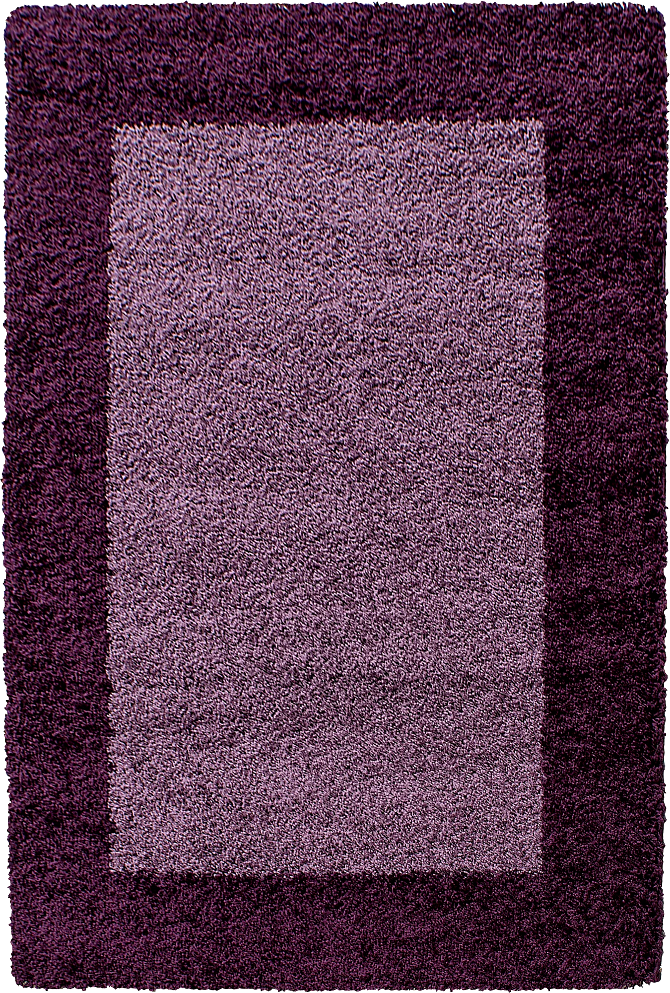 Bordered Refined Area Rug Modern