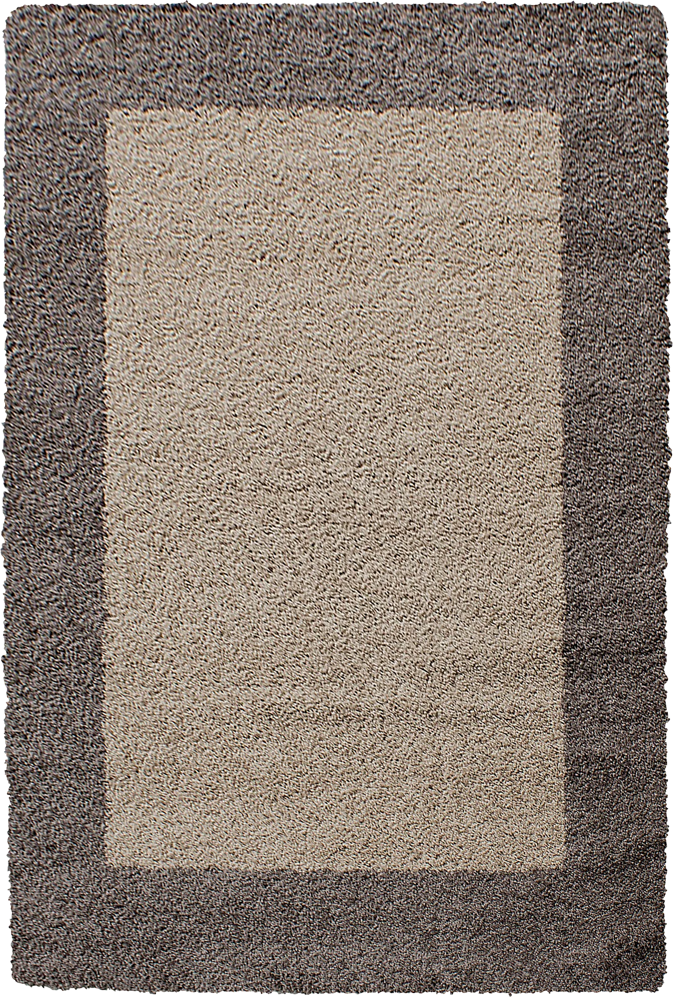 Bordered Elegant Area Rug Modern