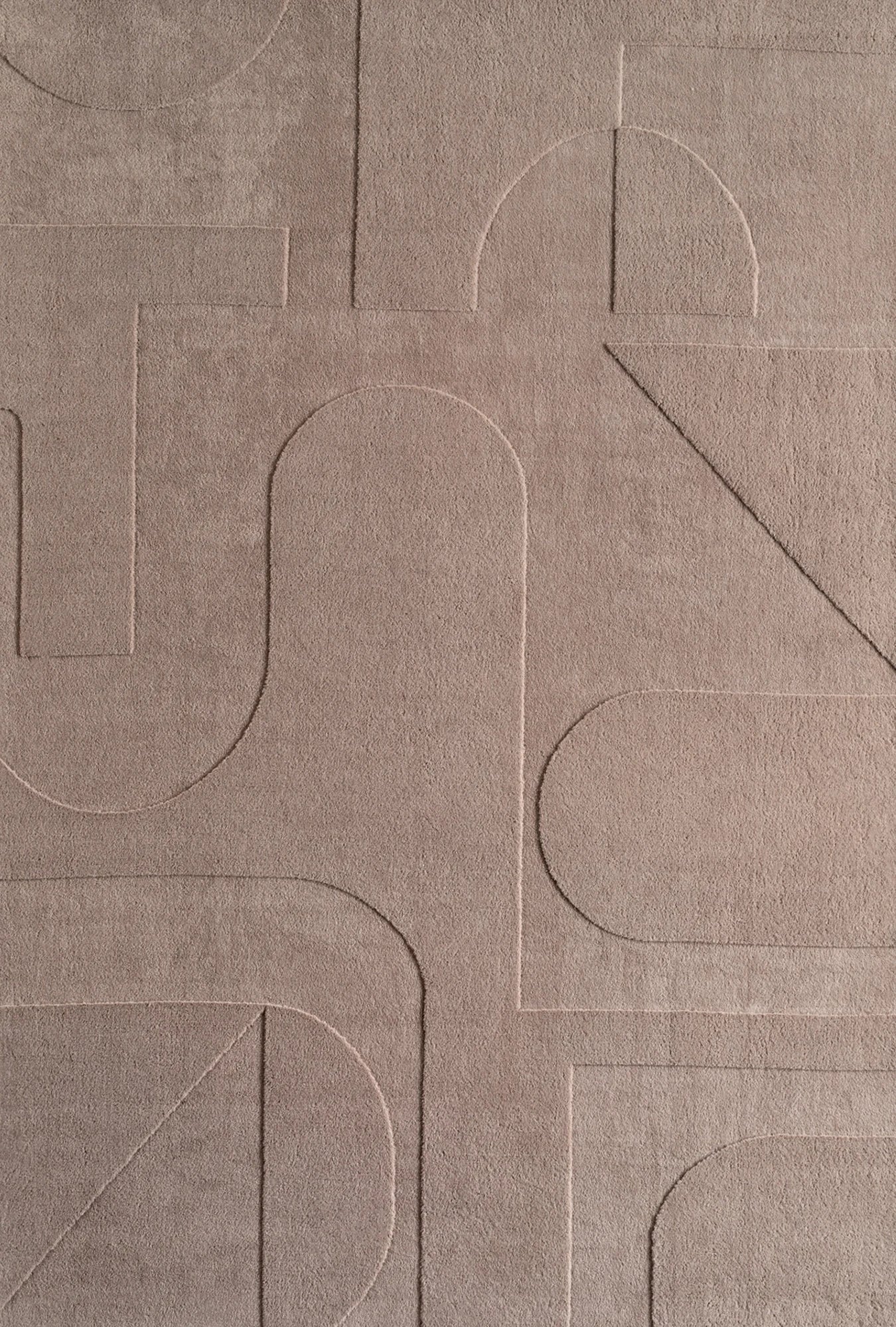 Scandinavian Stylish Neutral Area Rug