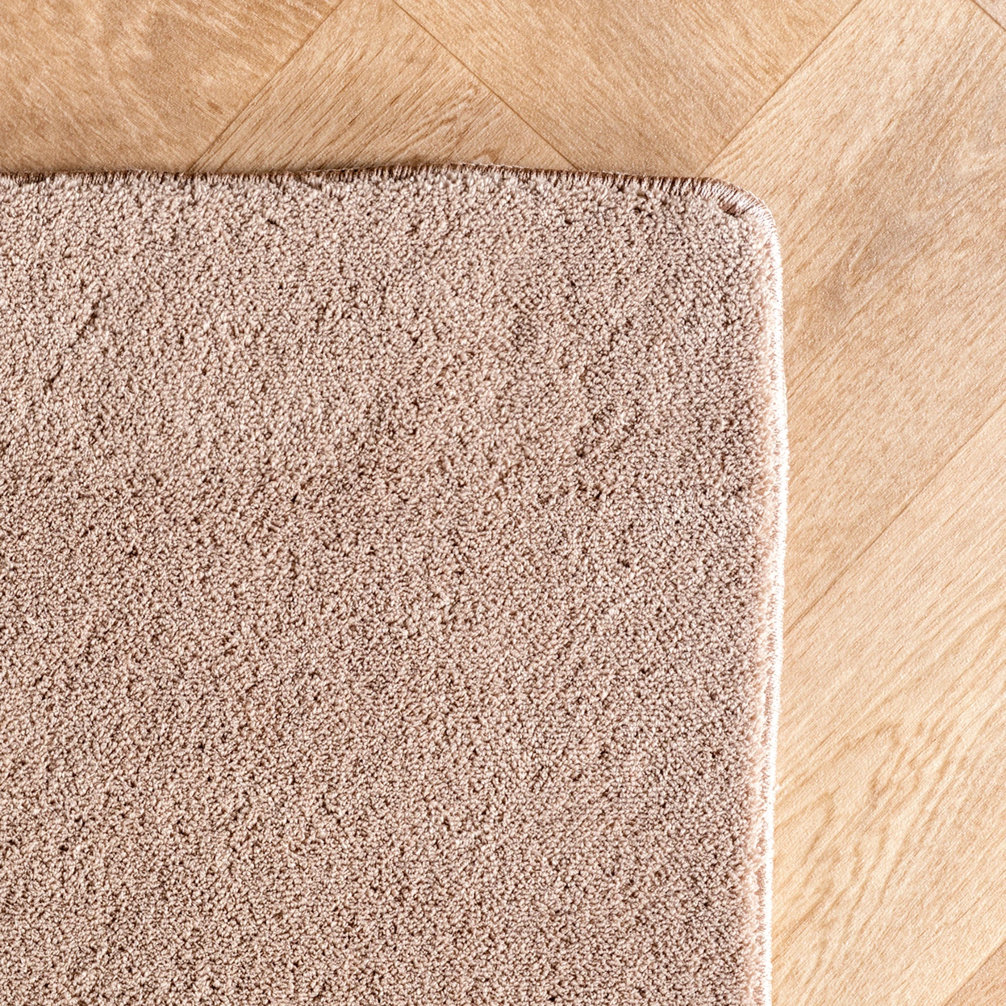 Scandinavian Stylish Neutral Area Rug