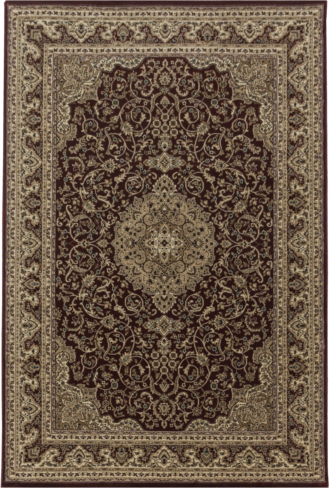 Oriental Stylish Area Rug Modern