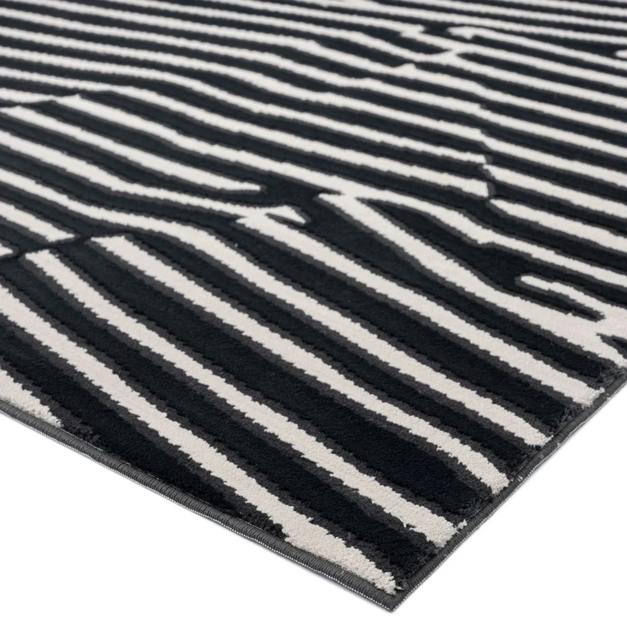 Zebra Echo Abstract Black Rug