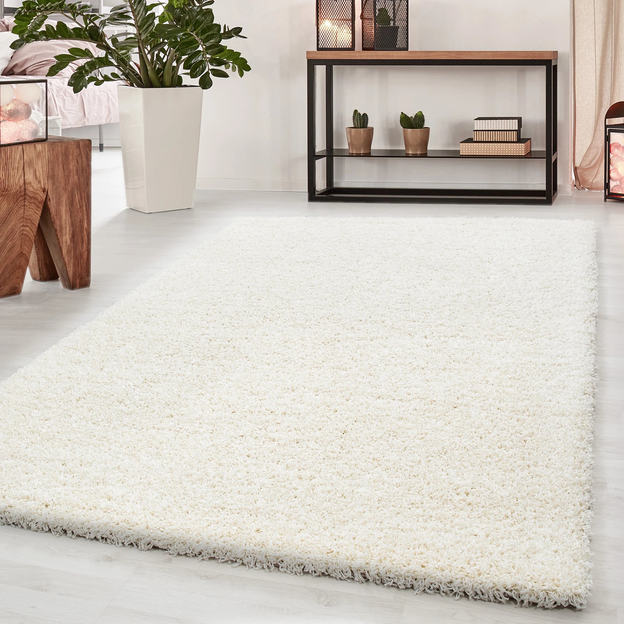 Clean Color Cozy Elegant Area