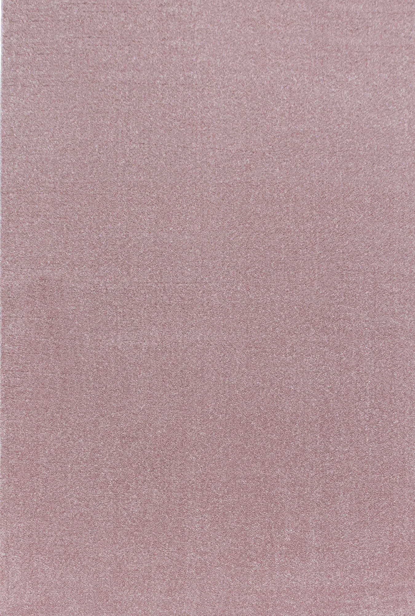 Solid Color Neutral Area Rug