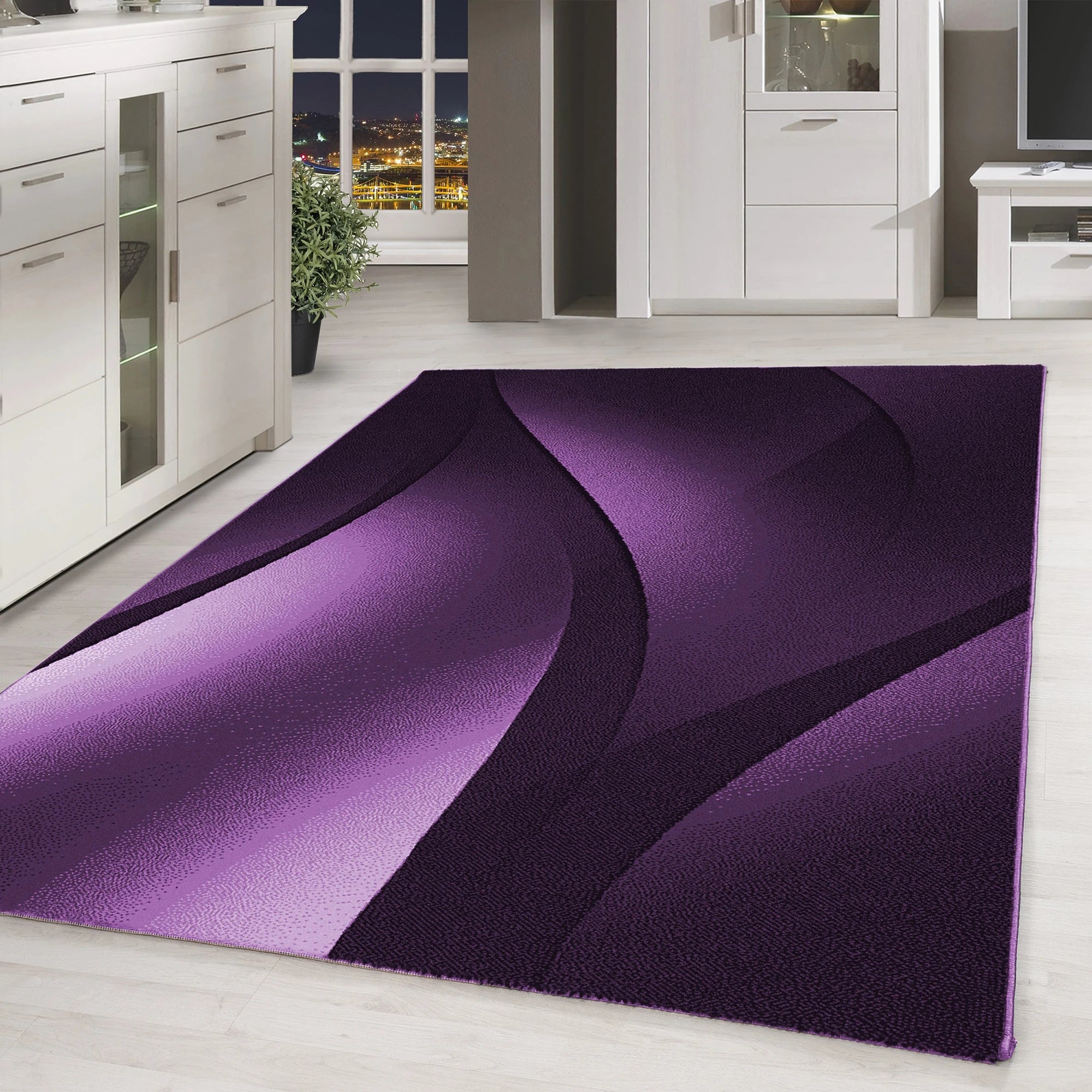 Ombre Chic Area Rug Modern