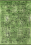 Vintage Look Abstract Oriental Style Rug | Green Green