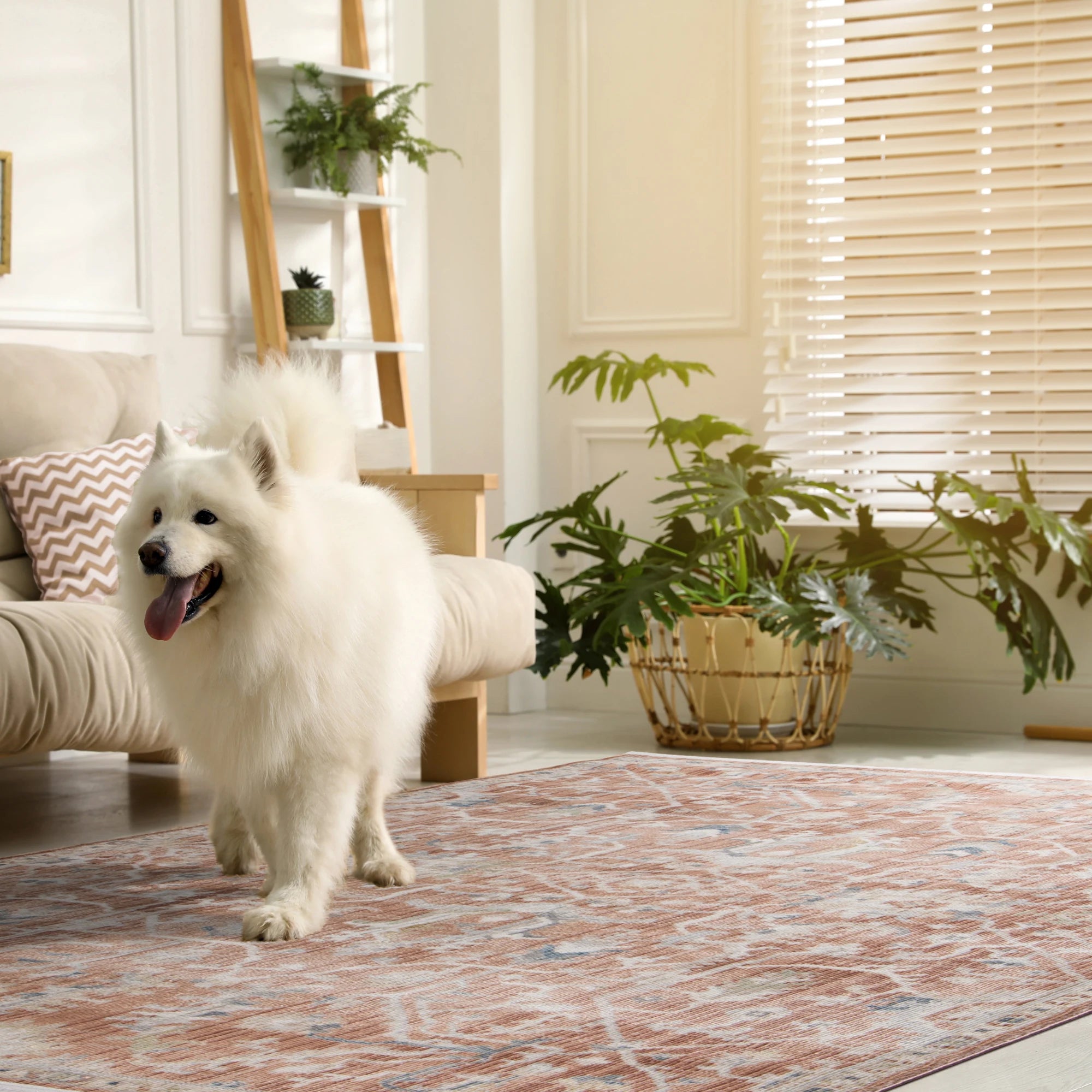 Terracotta Roots Traditional Rug