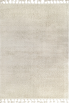 Soft Shaggy Carpet in Beige Beige